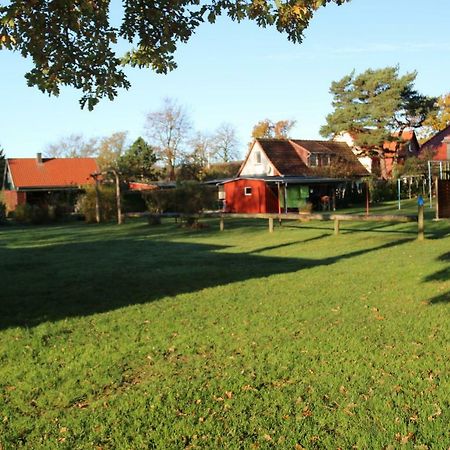 Ferienwohnung Morgensonne Prerow Dış mekan fotoğraf