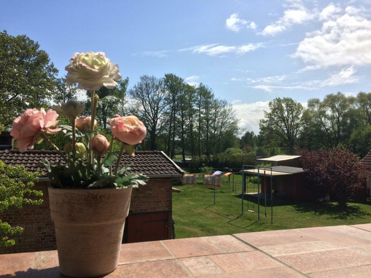 Ferienwohnung Morgensonne Prerow Dış mekan fotoğraf